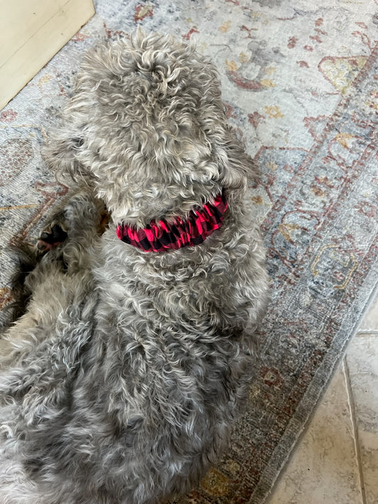Dog and Cat Collar Scrunchies